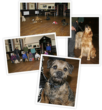 Dog Training at Dalry Town Hall, with Eric Broadhurst
