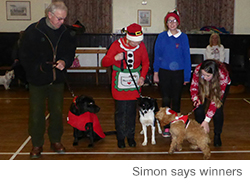 Real Dog Training Scotland - Christmas Party