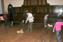 Dog Training at St John's Town of Dalry Town Hall