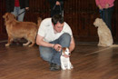 Dog Training at St John's Town of Dalry Town Hall