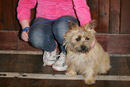 Dog Training at St John's Town of Dalry Town Hall