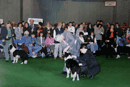 Eric judging Border Collies at Crufts 1996