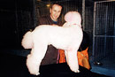 The Pink Poodle - Coronation Street