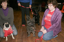 Dog Training at St Johns Town of Dalry Town Hall with Eric Broadhurst