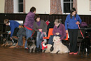 Dog Training with Eric Broadhurst at Dalry Town Hall, Dumfries and Galloway
